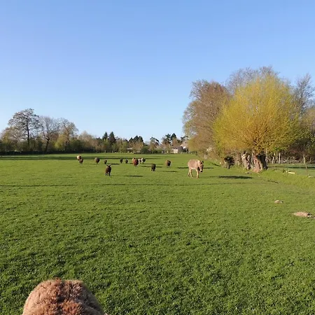 D'hotes Les Pieris לינה וארוחת בוקר גראנדקמפ-מייס