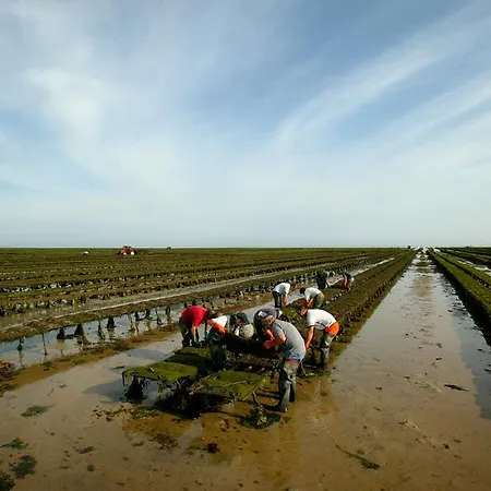 D'hotes Les Pieris 그랑캉프-메지