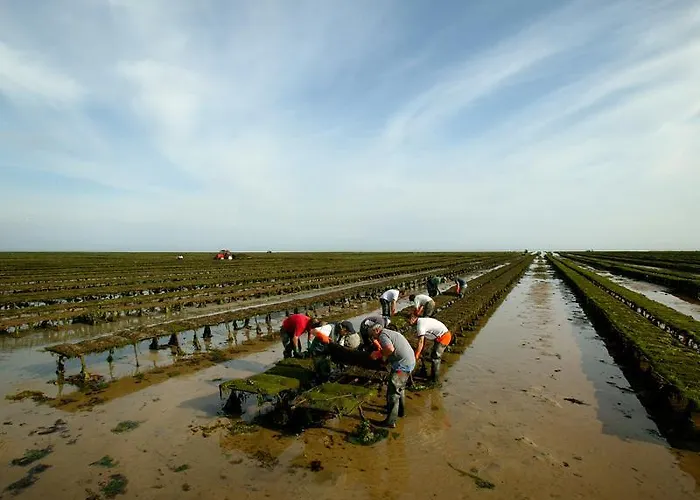 D'hotes Les Pieris Grandcamp-Maisy